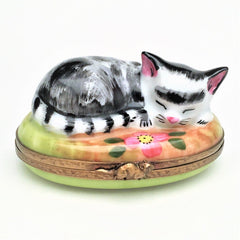 Retired Cat Napping in Garden Limoges Trinket Box - Signed 