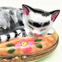 Retired Cat Napping in Garden Limoges Trinket Box - Signed 
